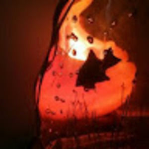 Meet your Posher, Nikkis